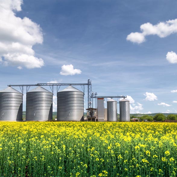 courtage céréales, acheminement et stockage